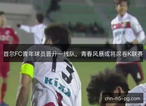 首尔FC青年球员晋升一线队,青春风暴或将席卷K联赛 首尔FC青年球员晋升一线队,青春风暴或将席卷K联赛